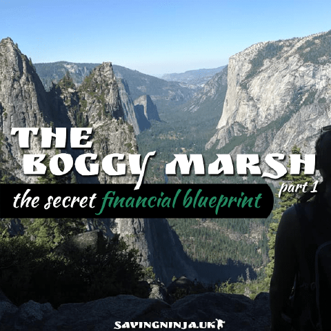 The Boggy Marsh Part 1 - The Secret Financial Blueprint | SavingNinja